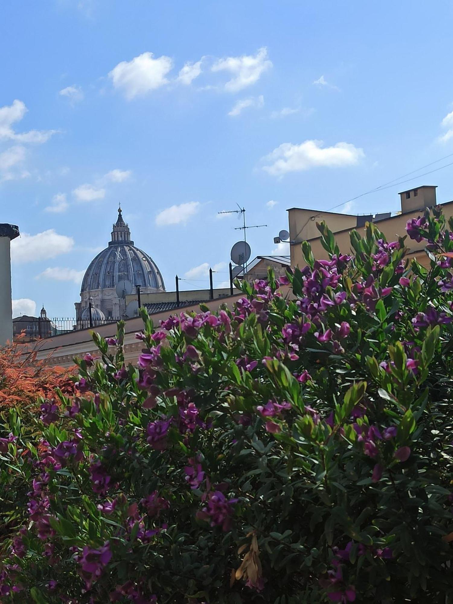 Apartment Living By Vatican With Panoramic Terraces In Rom